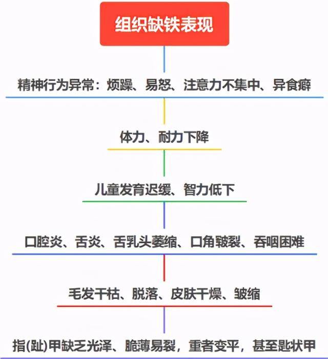 关于缺铁性贫血的科普小知识_铁剂_治疗_血液