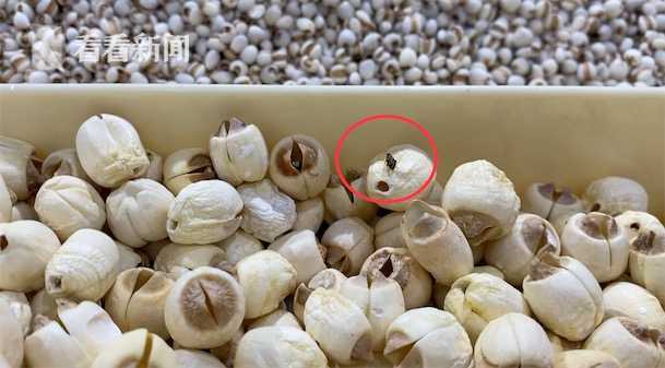 看看新闻knews记者在这家永辉超市看到,散装糯米货架上,到处有"虫子"