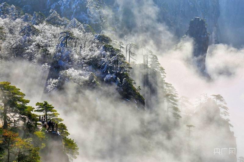 怪石|雪后黄山 宛如仙境