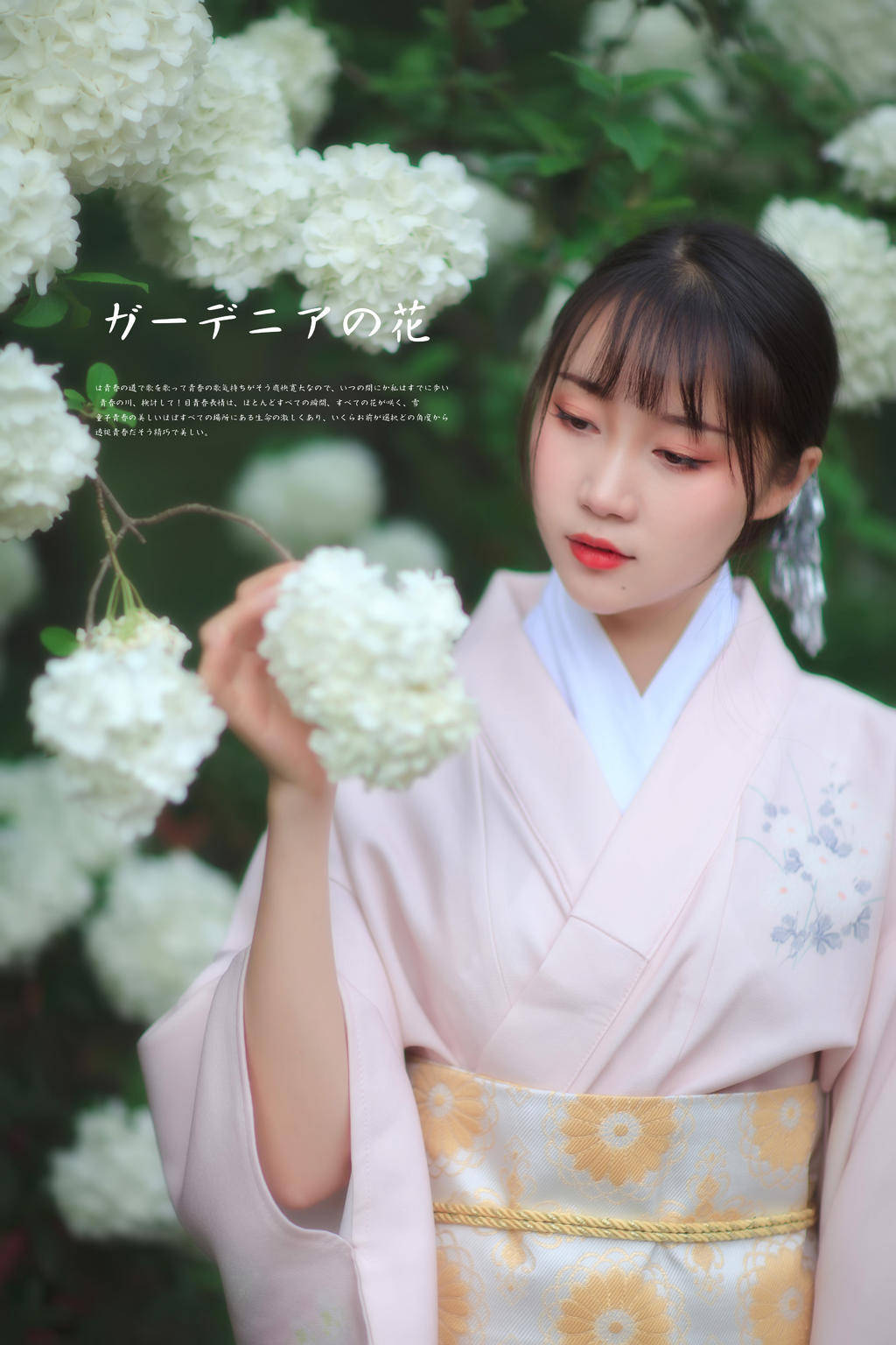 03.27 绣球花和服_和服