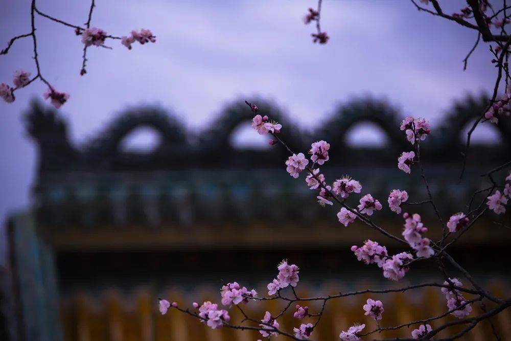 守好改善生态环境生命线丨生态画卷展六盘 固原 五河 公园