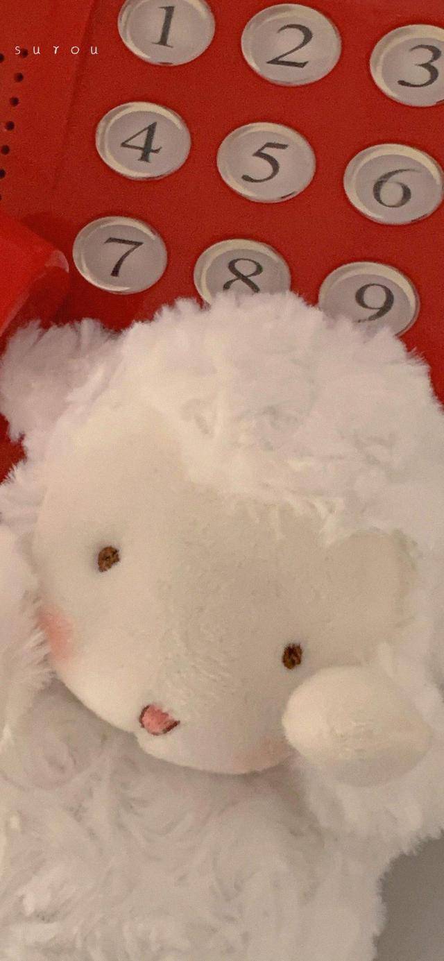 可爱萌萌的小羊壁纸