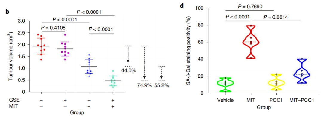 寿命|《自然》子刊：新的给力抗衰分子出现了！中国科学家在葡萄籽中发现原花青素C1，不仅能将小鼠剩余寿命延长64.2%，还能增强化疗效果