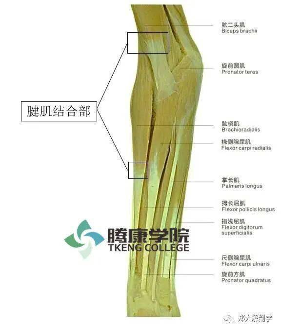 过有趣的生活：新疆此次疫情最早传入点