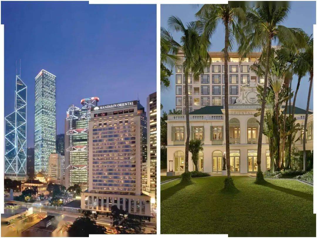 右上角的春天,绿叶初生;左上角的夏天,枝繁叶茂;左下角的秋天,树叶