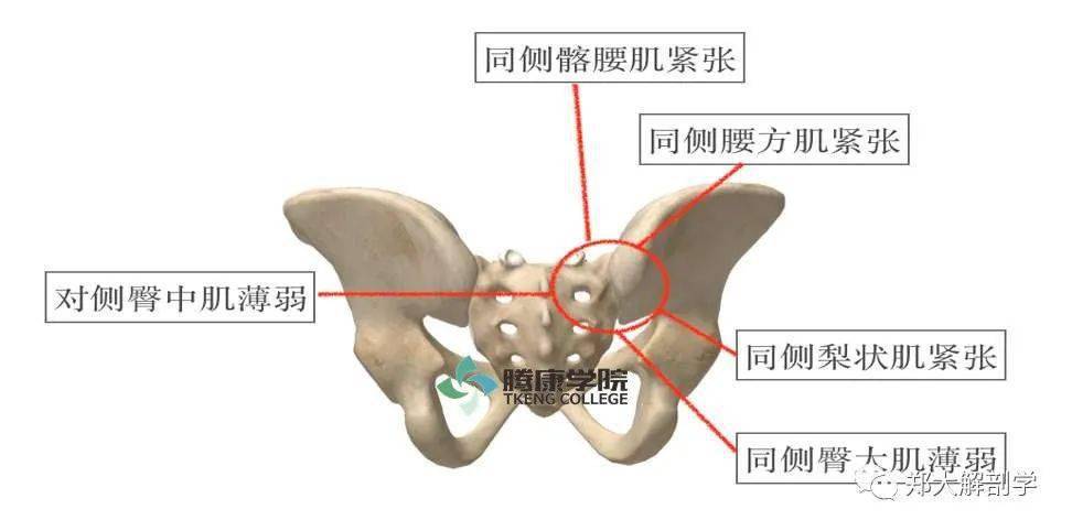 新疆此次疫情最早传入点