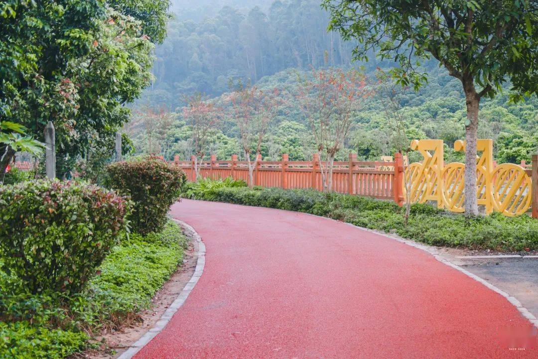 鳳凰山綠道要火