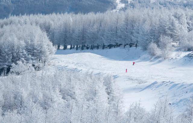 今年冬天怎么玩 最全滑 玩 雪攻略来了 崇礼 雪场 冬奥会