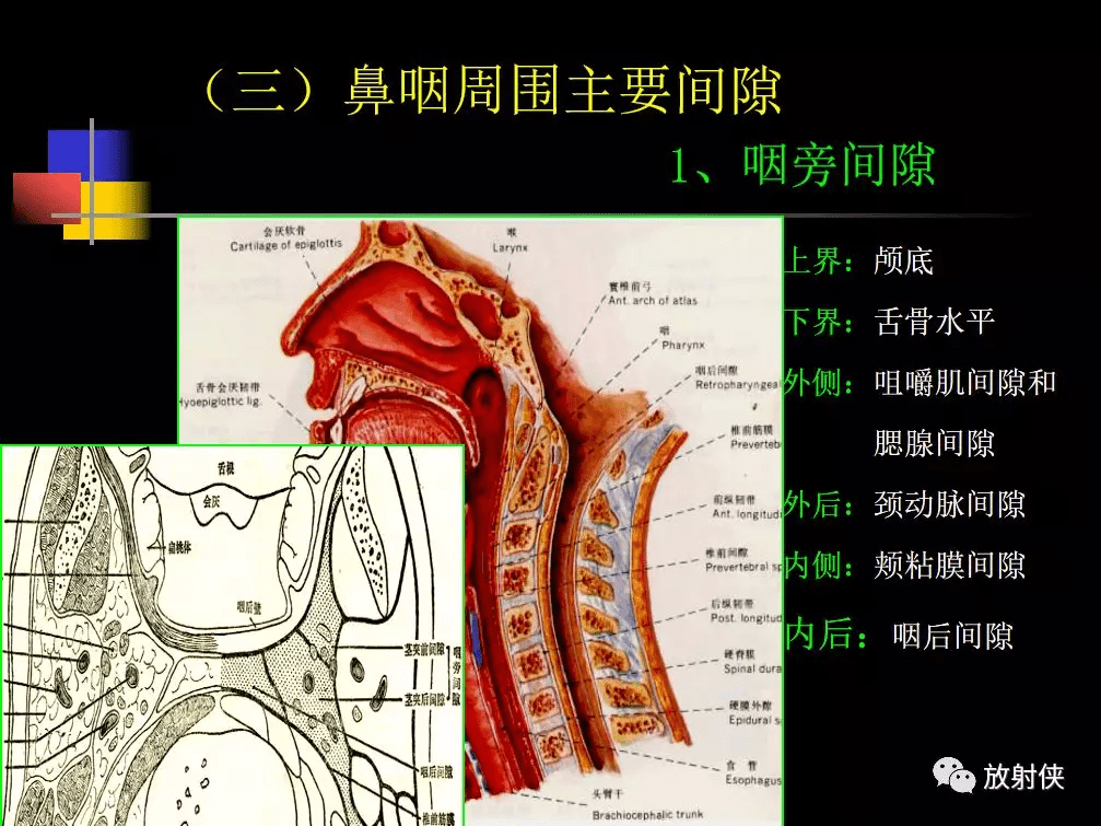 收藏必备 