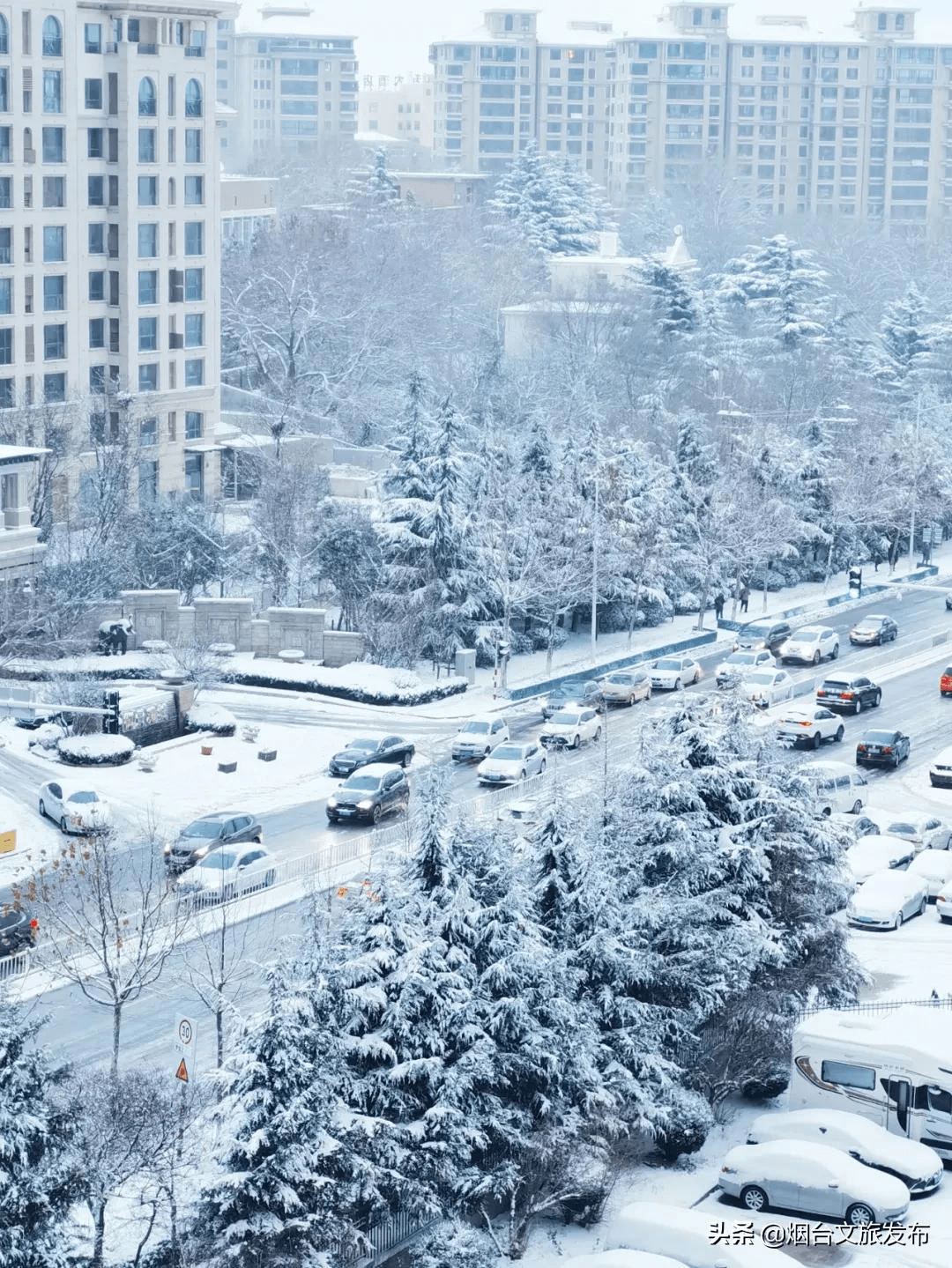 阿雅|雪?雪?雪?雪?雪?！烟台雪景大片海量来袭！