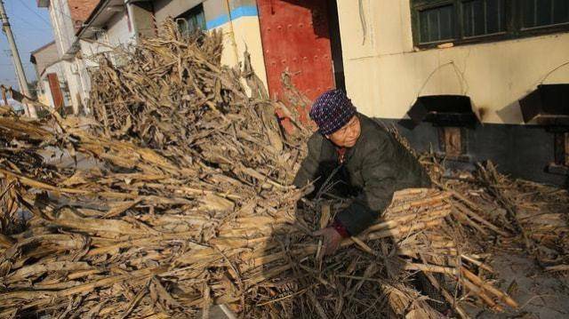 北方开始强降温农村禁止烧柴取暖农民为何不用天然气取暖