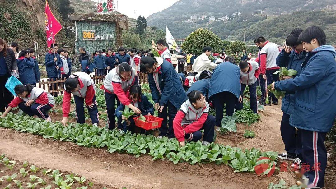 霞浦三中劳动教育实践基地揭牌!_成果_课程_盛轩