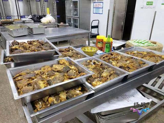 免费全鱼宴,扬大同学赞爆了_大学捕2000斤鱼请师生吃全鱼宴_食堂_校区