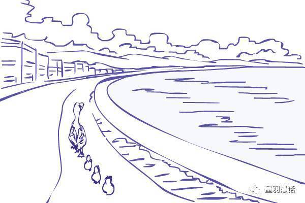 5,c形,常出现与海岸线内容的构图,引导方向明确,兴趣物件放在动线上.