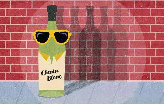 特性|这些常见的葡萄品种,也有你不熟知的一面