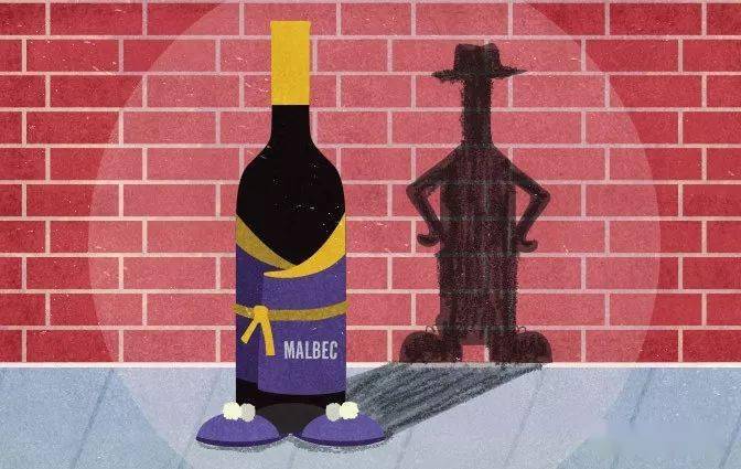 特性|这些常见的葡萄品种,也有你不熟知的一面