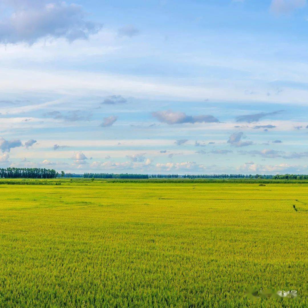 地理科普东北盐碱化令人非常担忧