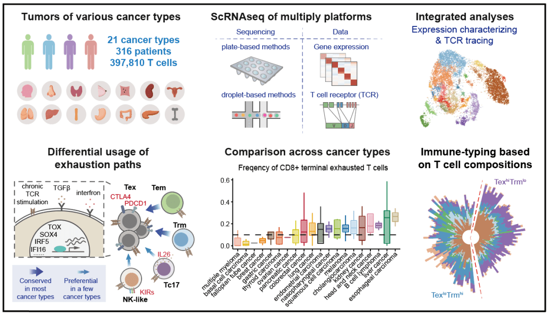 2021年12月17日,北京大学生物医学前沿创新中心(biopic),生命科学学院