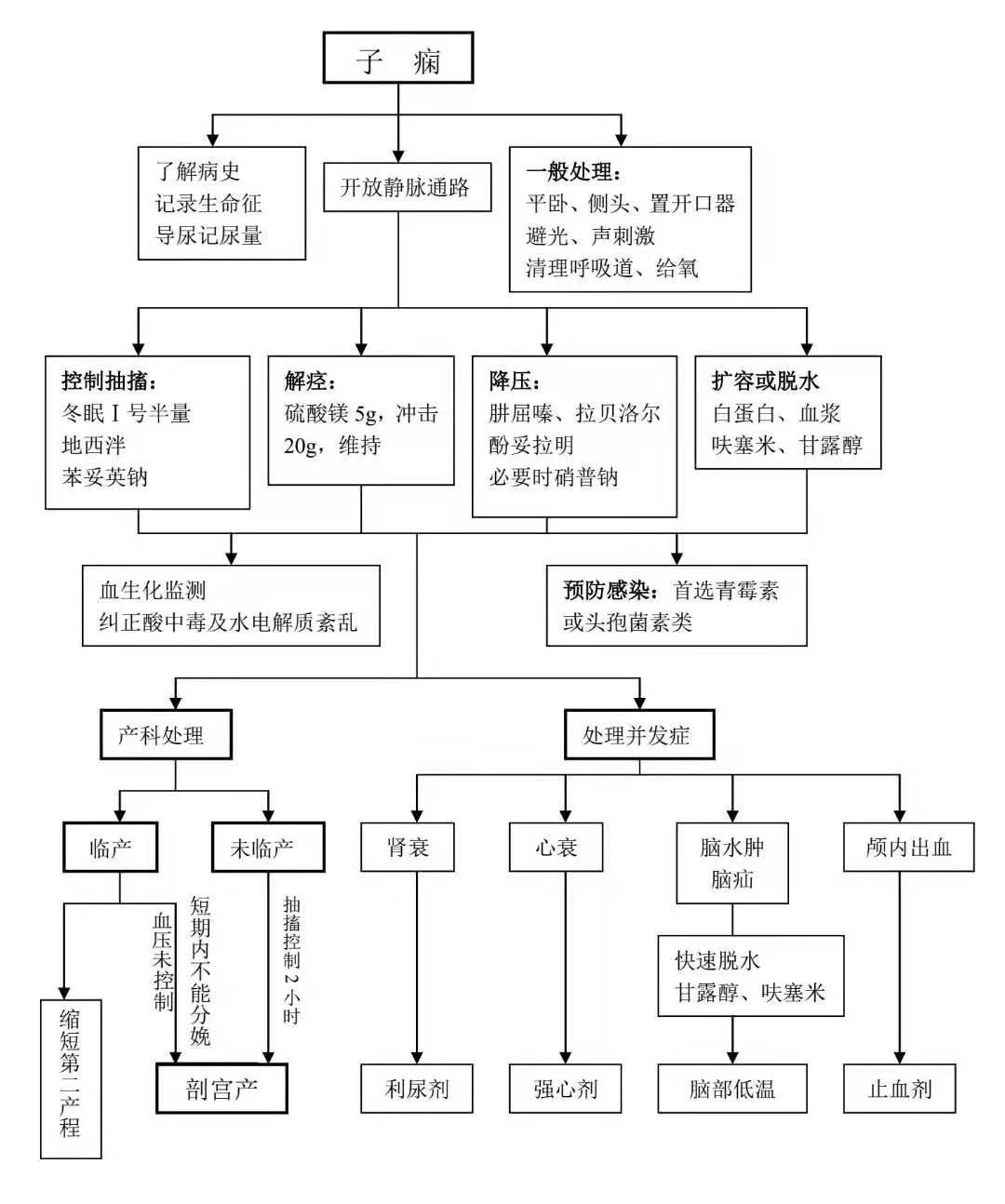 子痫的临床处理详细步骤附抢救流程图