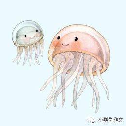 怎么的抹咋写