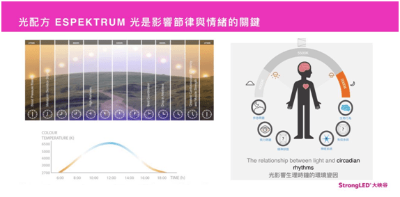 大峡谷林纪良：照明的元宇宙时代刚性芒果体育需求＋数字化服务平台=变革行业格局(图14)