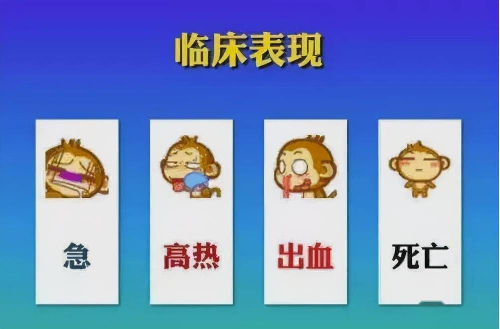 科普|科普：出血热的预防与治疗→