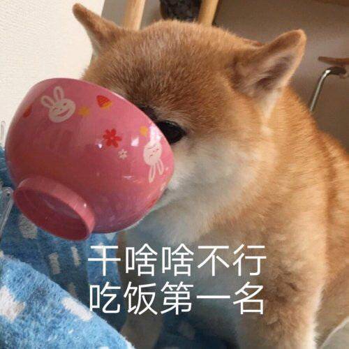 5fc24a42f3aa4f43aa86a8186622857f.jpeg