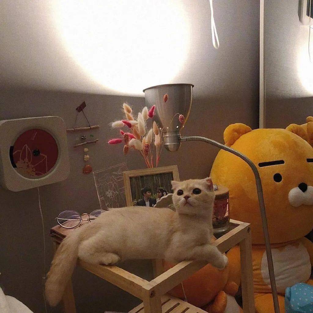 个性朋友圈背景图