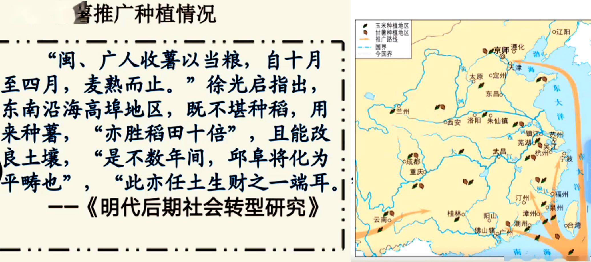 张骞_西域_黄瓜