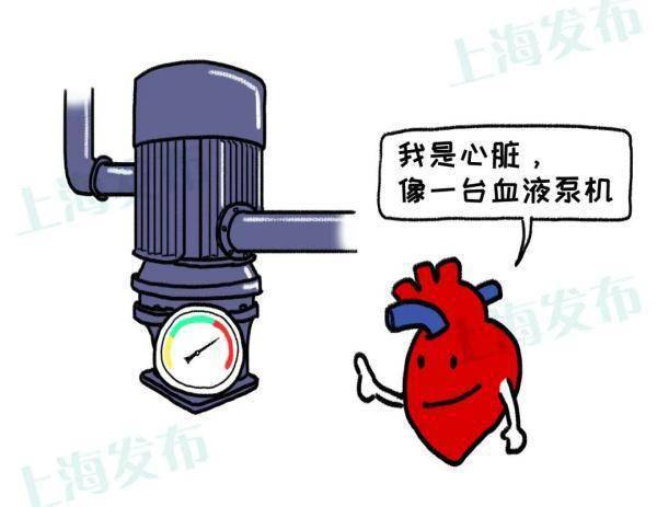 症状|@三高人群，怎样远离心梗/脑梗的威胁？