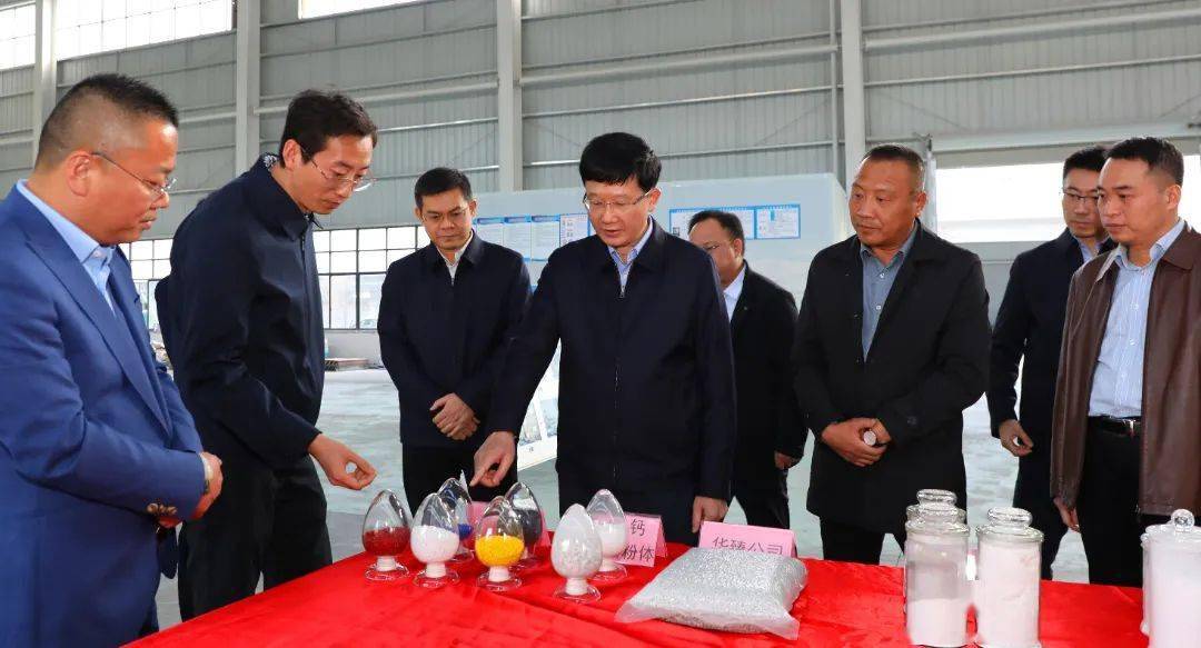 市委书记何朝建到合山忻城调研,他提出这些要求_发展_项目_广西