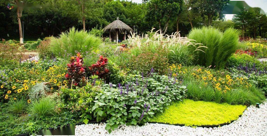 冬日到,园博苑花境上新,美景依旧_植物_设计_进行