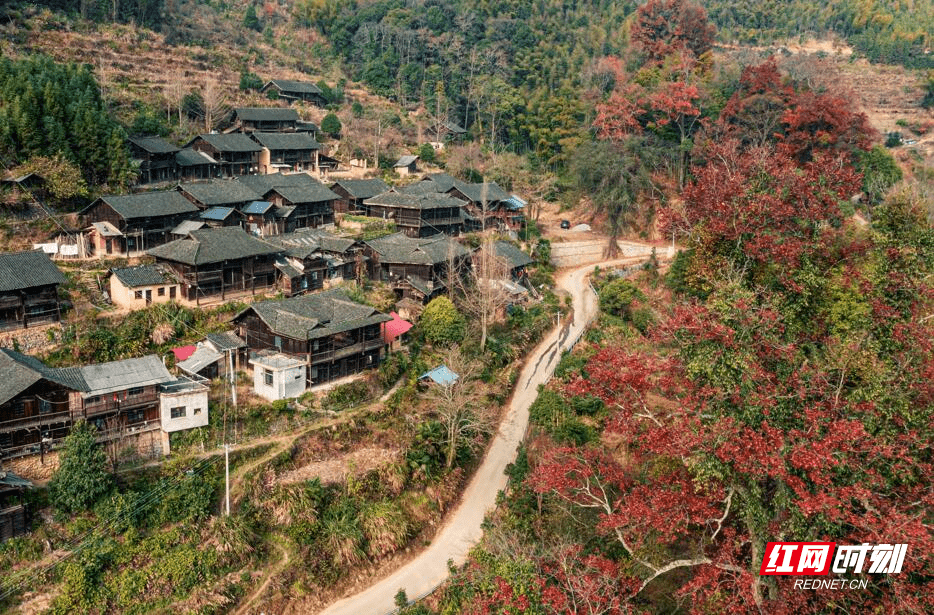 头村|东安乐子冲：古山寨仿若画，枫叶红于二月花