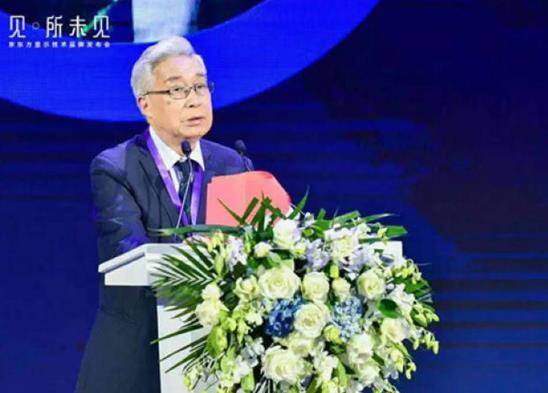 技术|BOE(京东方)发布中国半导体显示技术品牌
