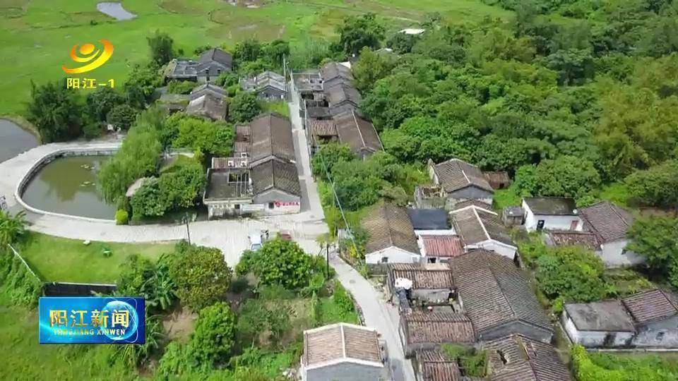 这五年阳江乡村人居环境焕新颜
