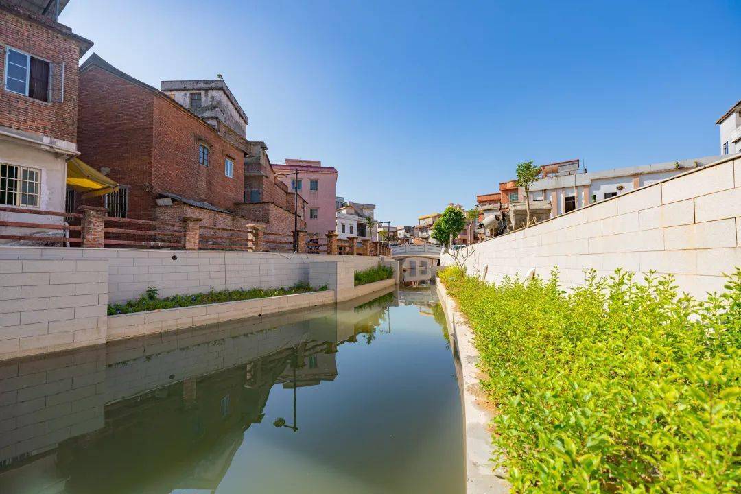 水乡特色示范村望牛墩镇赤滘村