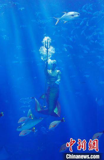 年輕人|“美人魚”國(guó)家級(jí)表演賽三亞落幕