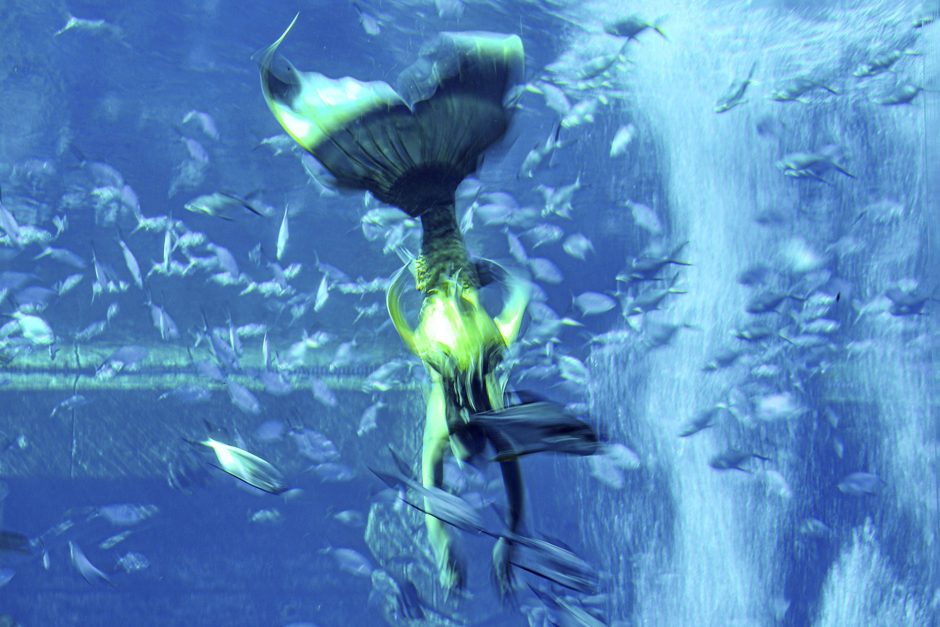 海南三亚首届中国美人鱼表演赛举行决赛