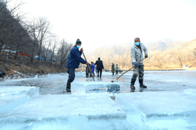 冰灯|龙庆峡取冰喽！冰灯冰雪季明年1月中旬开幕