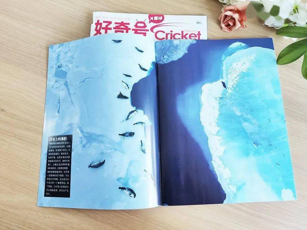 少儿|精选5套原版杂志于一体，“全领域通识教育”少儿期刊《好奇号》限时特价啦！