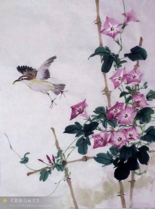 100幅特别漂亮的牵牛花作品