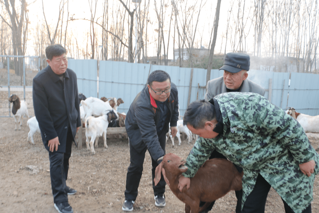 近年来,仲兴乡棠棣村大力发展各项兴村富民产业,使村民收入和村级经济