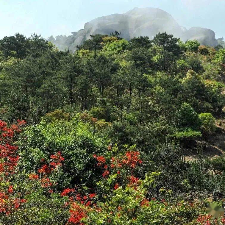 十八股头奇岩怪石好风光来体验大自然的鬼斧神工
