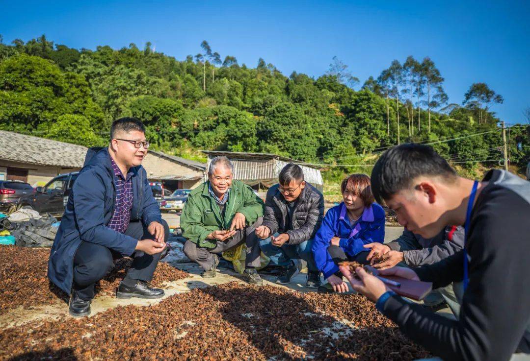 容县新时代文明实践志愿者在行动._精神_石头镇_六中全会