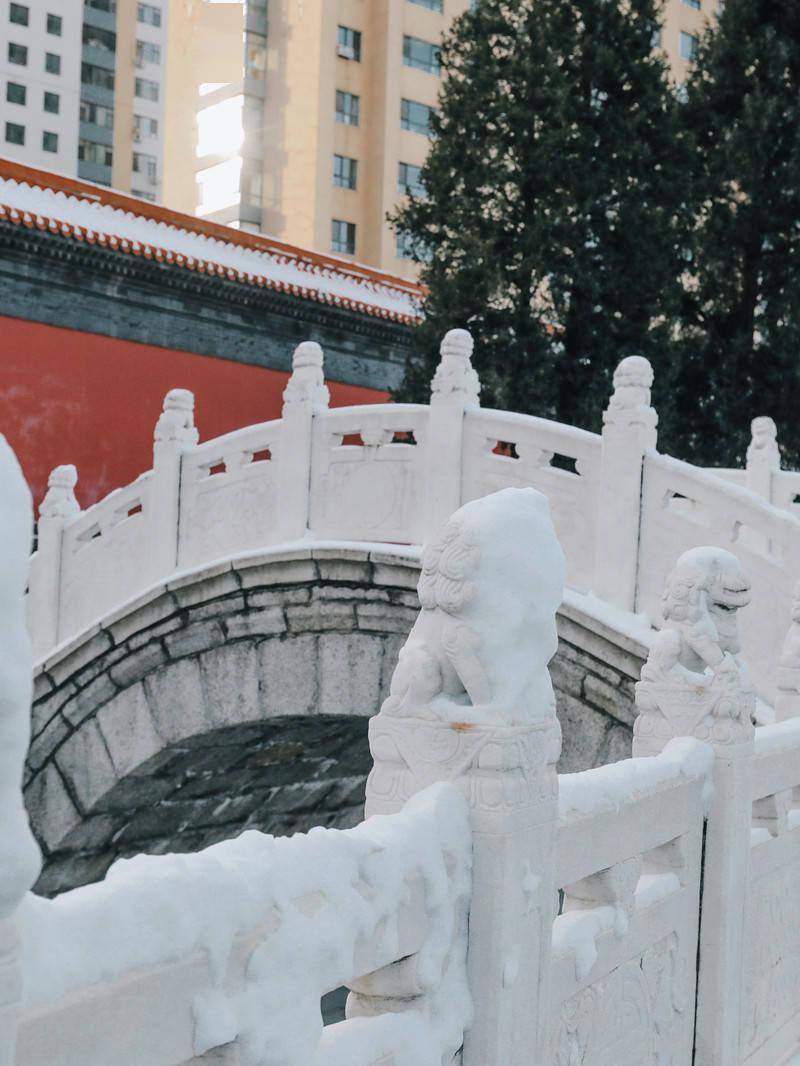 吉林|遇见凇雪吉林，赴一场冬日里的浪漫旅行