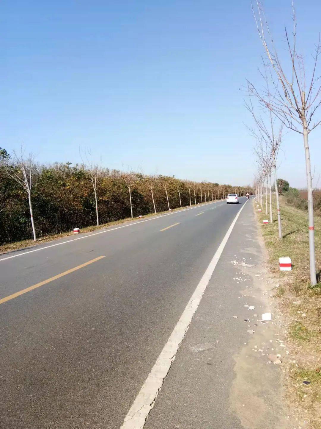 原阳黄河穿滩公路图图片