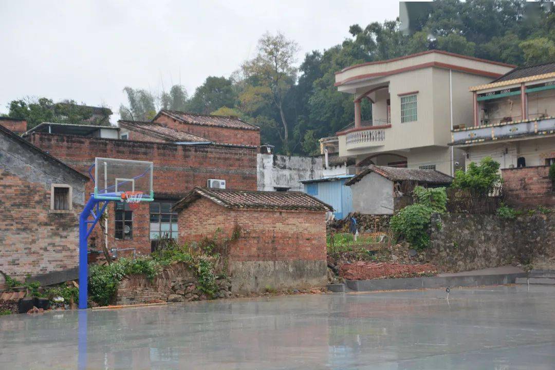 雅瑶镇南靖村推进民生实事,村容村貌焕然一新_建设_工作_群众