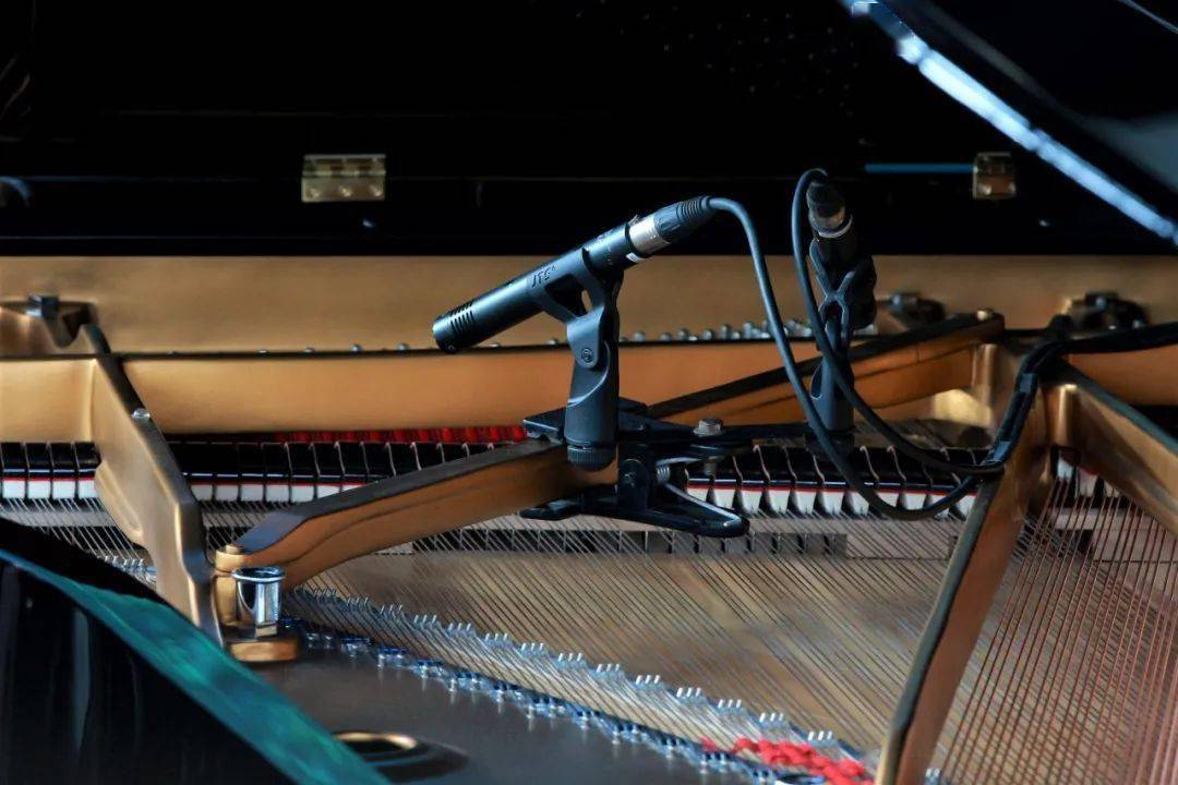 几件特定乐器的拾音作为交响乐演奏的补充,它们是大提琴,钢琴和铜管乐