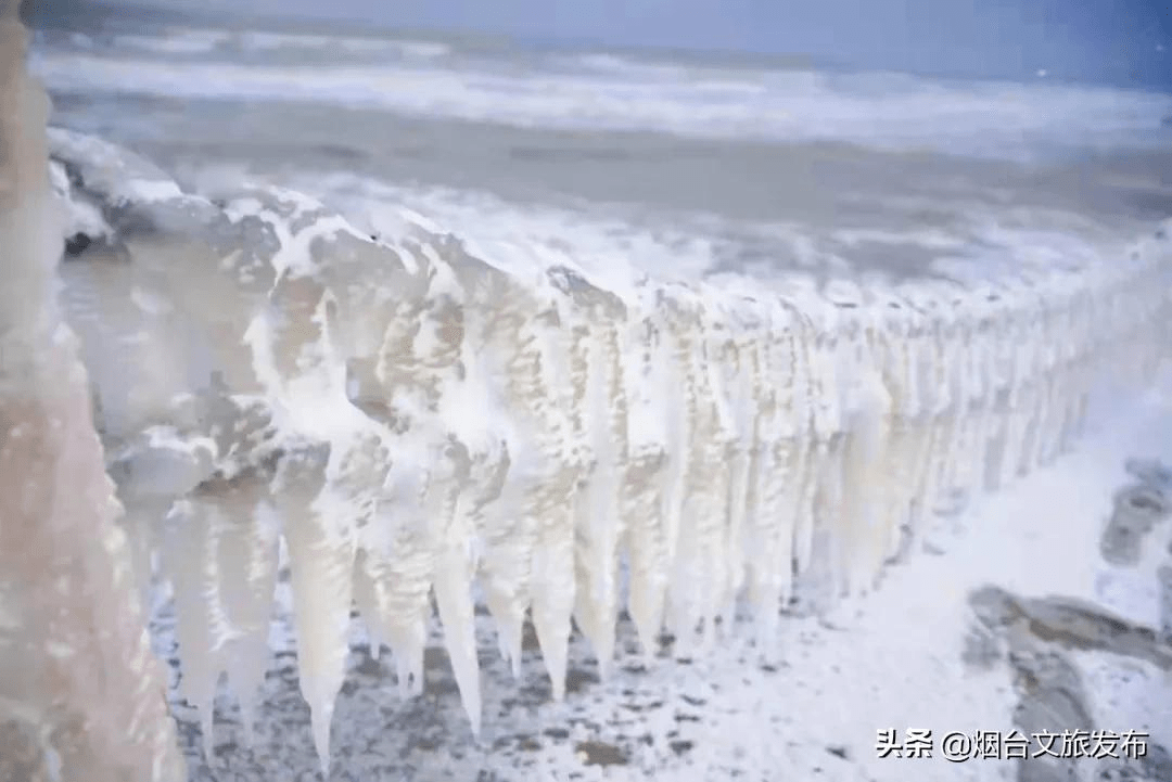 雪花|琼瑶匝地！“雪窝烟台”盛装亮相