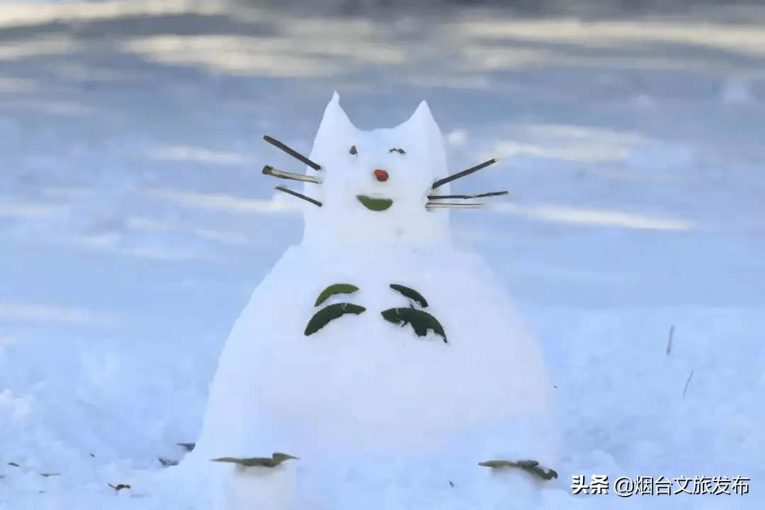 雪花|琼瑶匝地！“雪窝烟台”盛装亮相